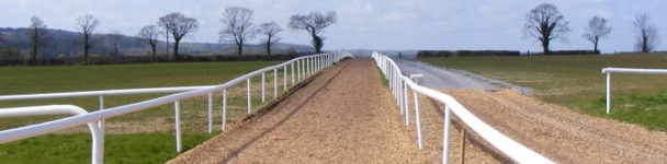 Wood Chip Surfaces